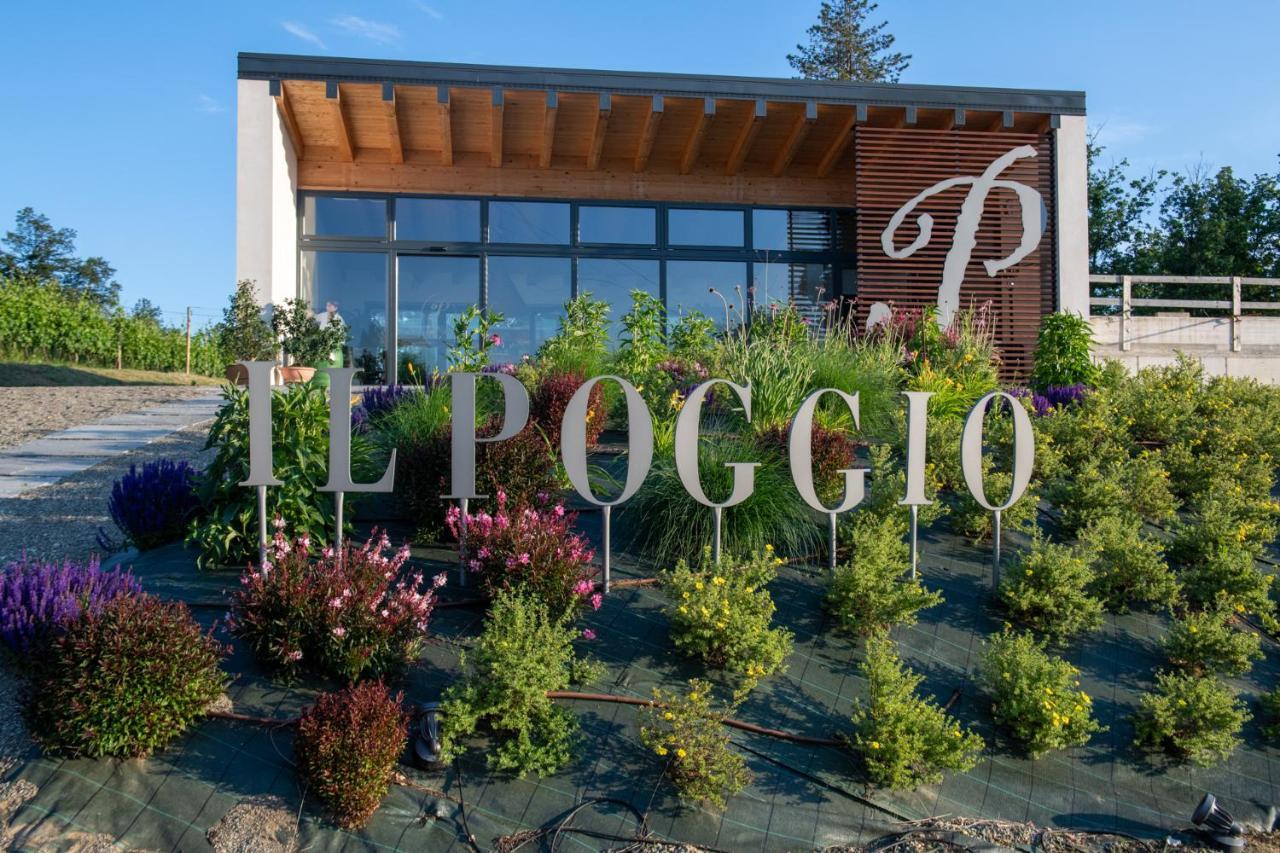 B&B Il Poggio Di Gavi Exteriér fotografie