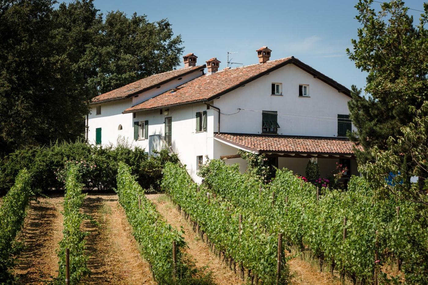 B&B Il Poggio Di Gavi Exteriér fotografie