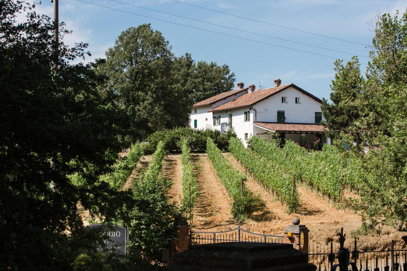 B&B Il Poggio Di Gavi Exteriér fotografie